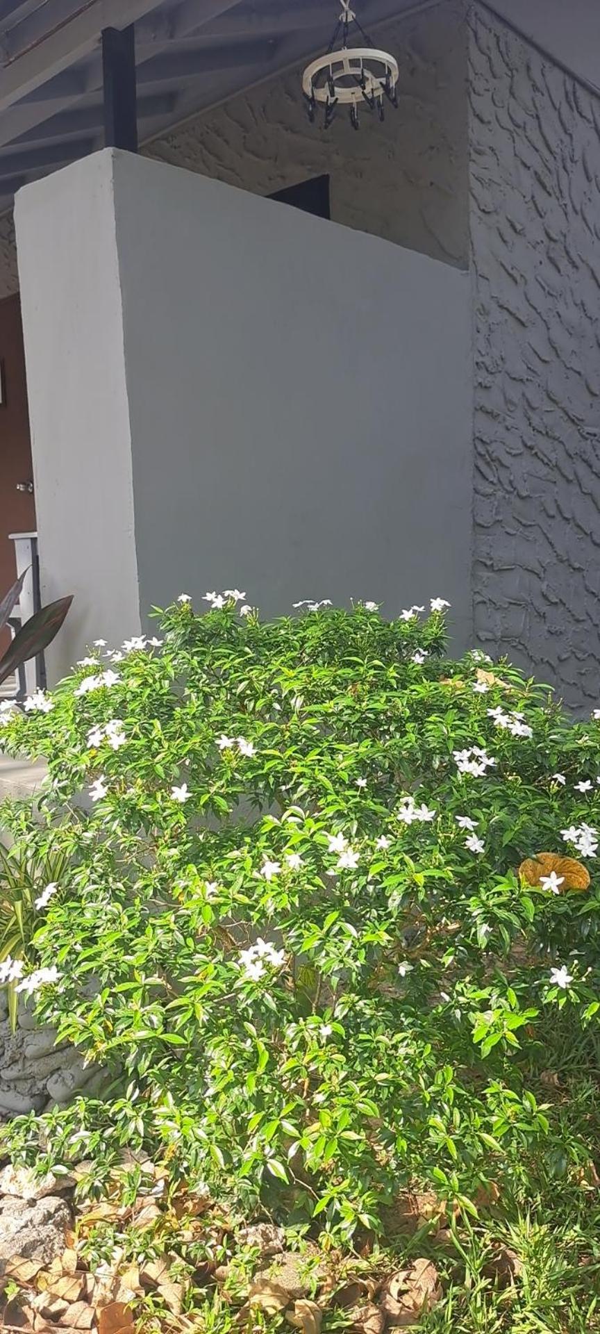 Siam Flora Resort Ko Lanta Eksteriør bilde