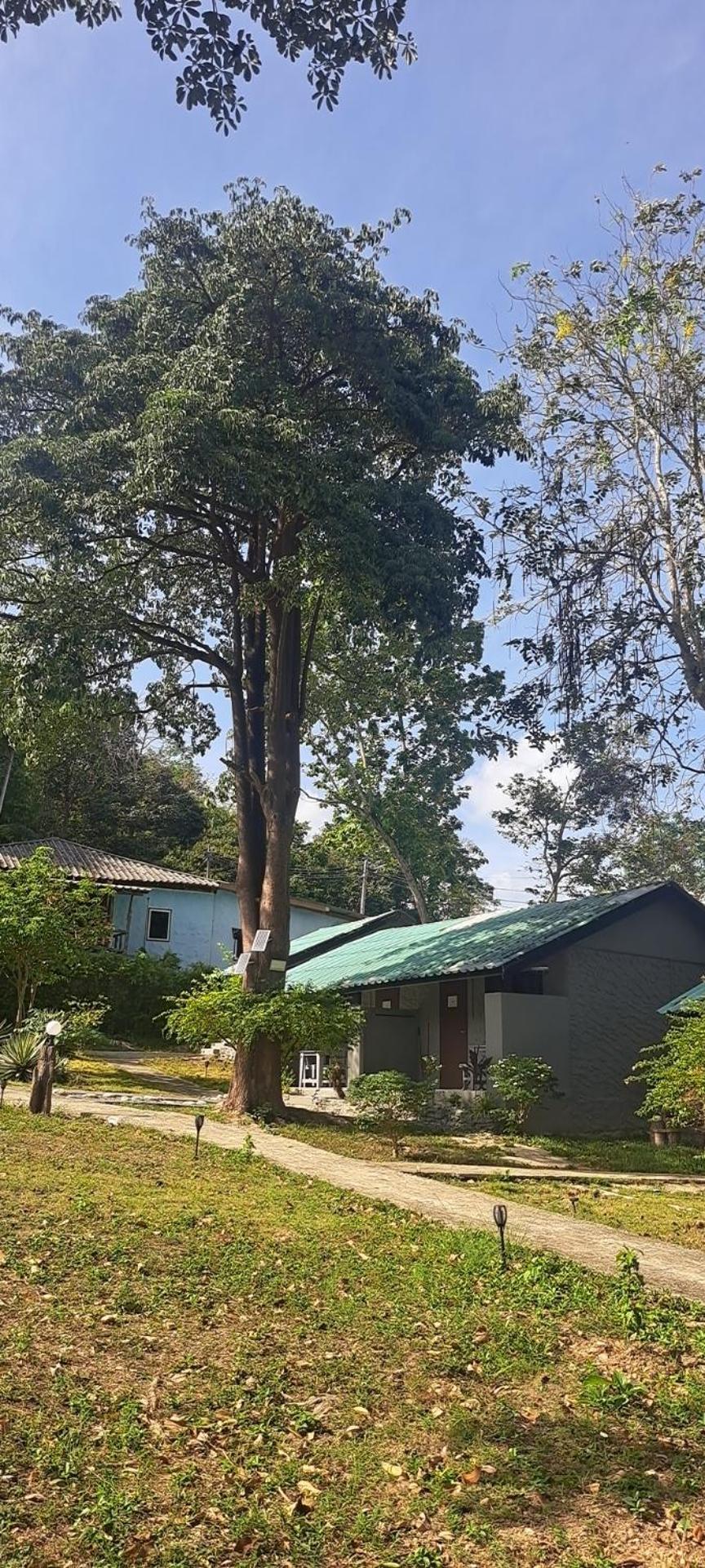 Siam Flora Resort Ko Lanta Eksteriør bilde
